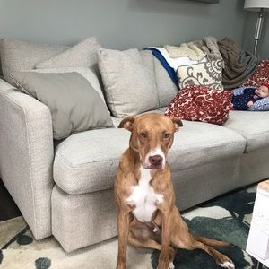 Meet your Posher, Ken